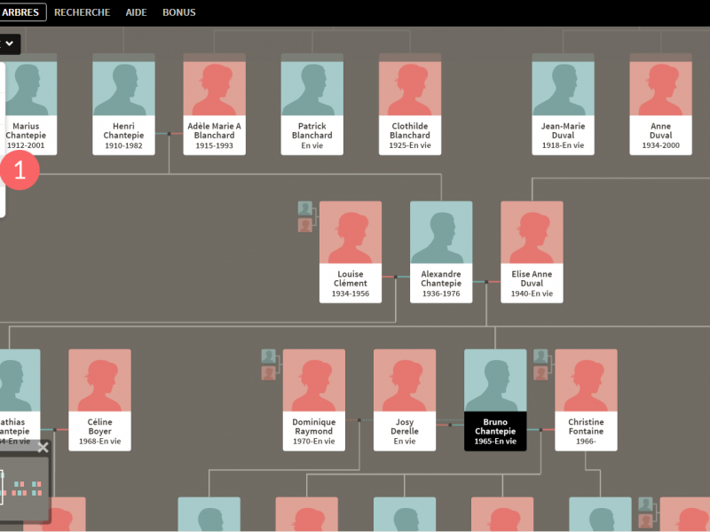 How to export a tree from Ancestry