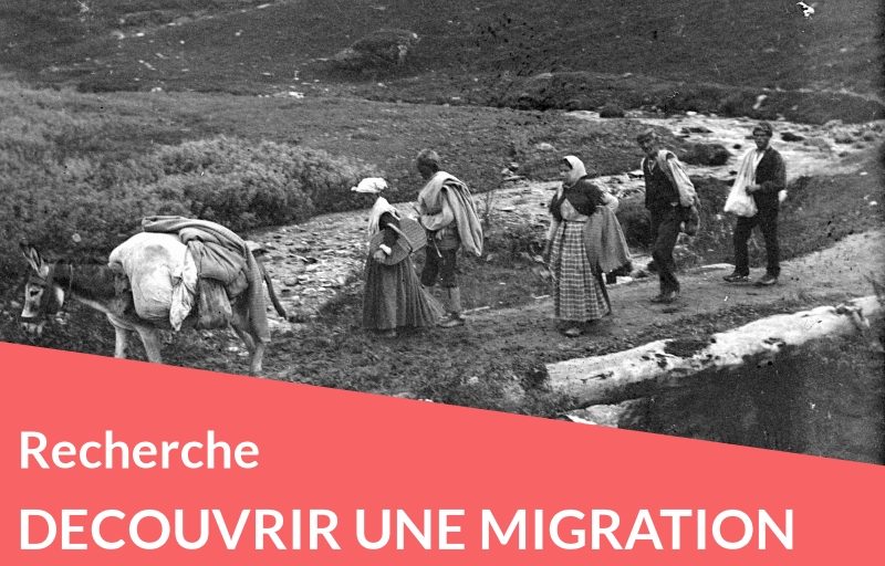 Astuces : Comment découvrir une migration